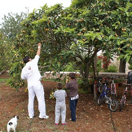 Agroturismo Can Gall Hotel Sant Joan De Labritja Esterno foto